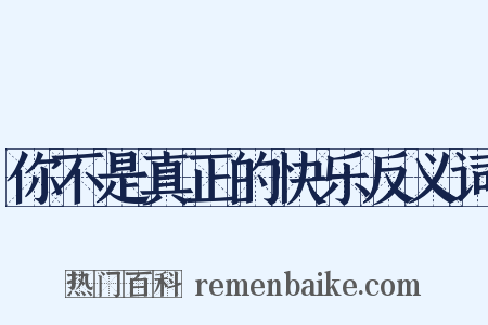 你不是真正的快乐反义词是什么意思的图片